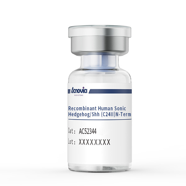  Recombinant Human Sonic Hedgehog/Shh (C24II) N-Term（AC52344）